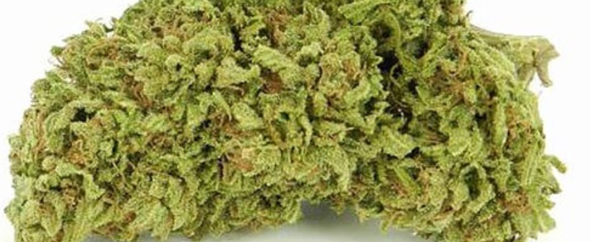 Blue Cheese Odor and Flavors