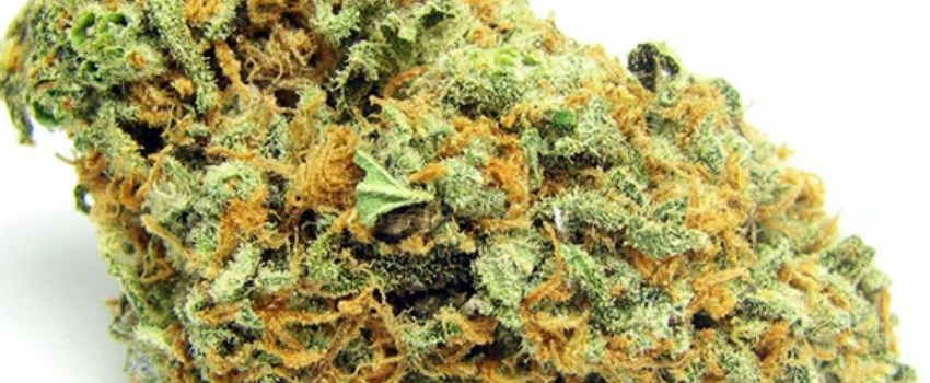 Green Crack Medical Use and Benefits