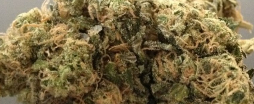Sour Diesel Medical Use and Benefits
