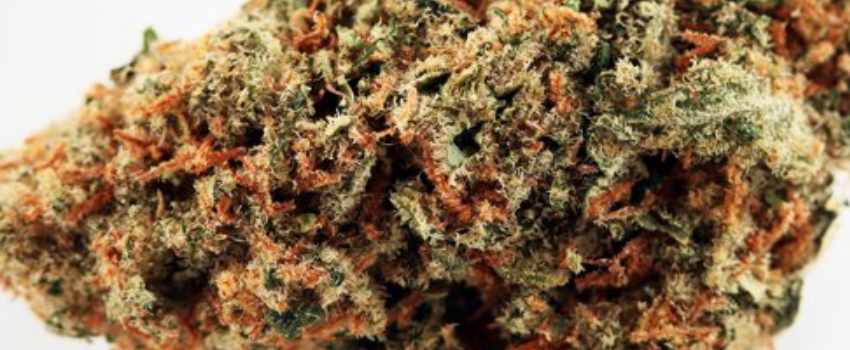 ACDC Medical Use and Benefits