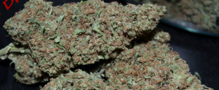 Red Dragon Odor and Flavors