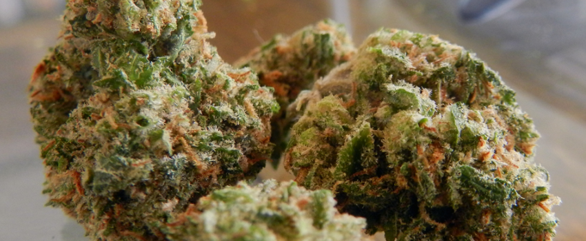 Strawberry Cough Odor and Flavors