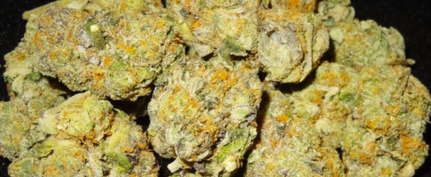 Gelato Medical Use and Benefits