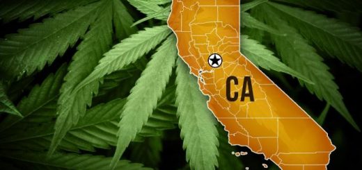 How to Legally Grow Marijuana in California