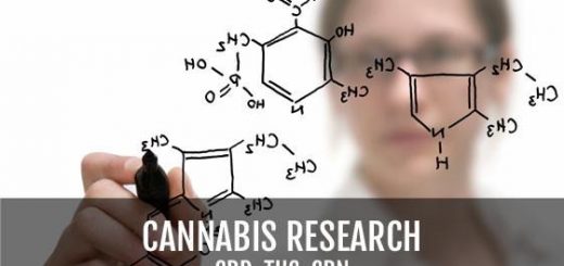 Academies for Cannabis Law, Research, and Studies